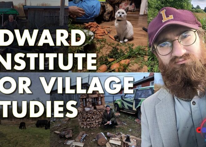 The Edward Institute – A Post-Mortem #SolutionsWatch – OffGuardian