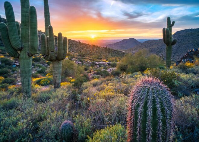 NovaWave Capital expands investment platform with new partners and State of Arizona-supported AI Venture Studio