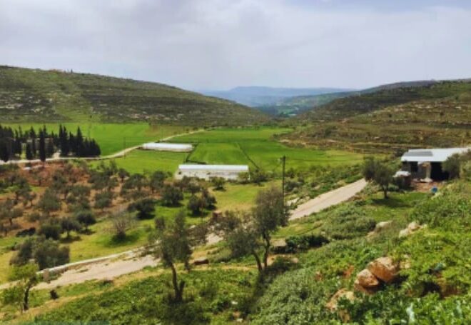 Yanoun’s Families Forced Out after Years of Pressure