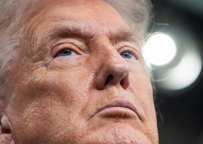 Trump’s ‘Board of Peace’ is the nail in Gaza’s coffin