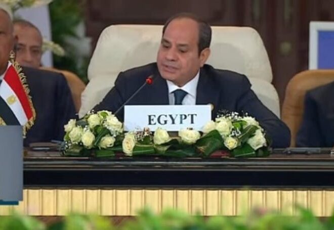 El-Sisi Says Egypt Lost Billions in Suez Revenues due to Gaza War
