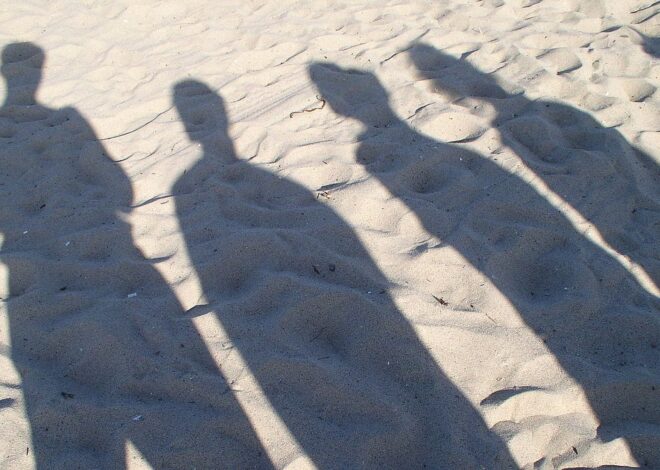 Fifty People Control the Culture