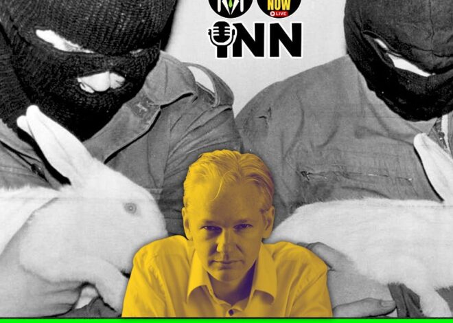 Julian Assange Was a Canary in the Coalmine: Activists Labeled as Terrorists