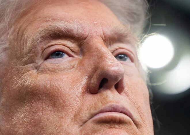 Listen: Trump’s 'Board of Peace' is the nail in Gaza’s coffin