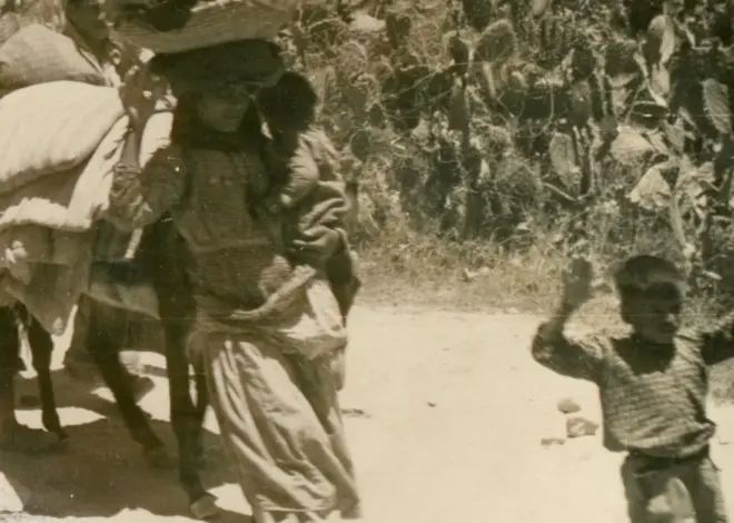 ‘Terror Was Needed to Make Arabs Leave’: Israeli Army in 1948