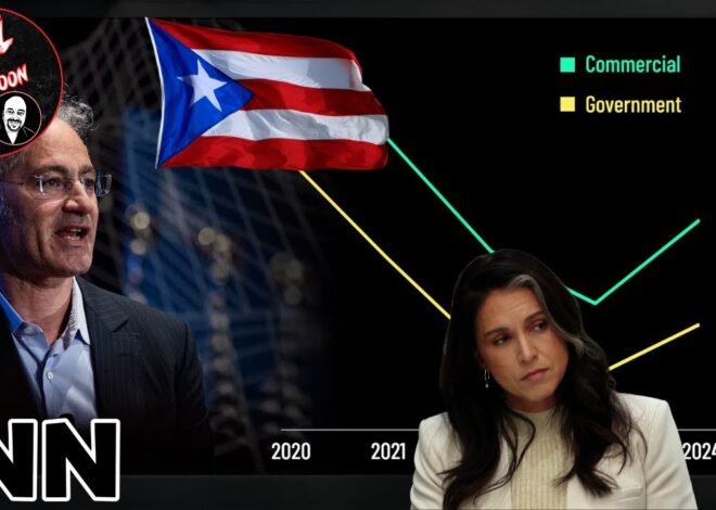 Palantir DEFENDS US Government CONTRACTS, ELECTION INTERFERENCE In Puerto Rico? | AITA EP:149