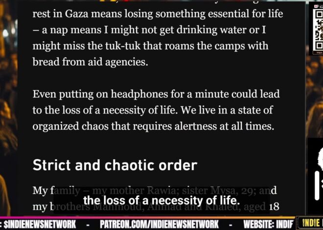 The Reality of Life After Displacement in Gaza | @GetIndieNews @intifada