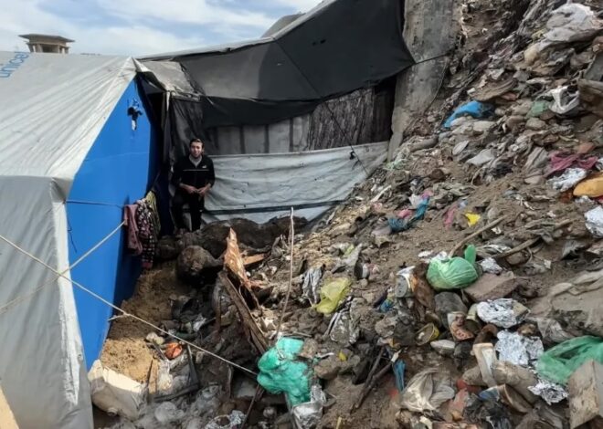 In Gaza, “rats run over our faces” – Not a ceasefire Day 129