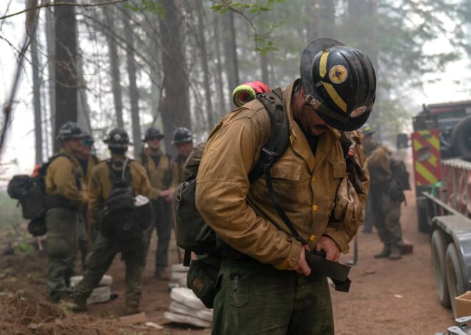 U.S. Forest Service Stops Issuing Firefighter Pants That Contain PFAS — ProPublica