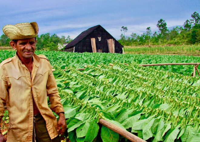 What the US Blockade Is Doing to the People of Cuba – Consortium News