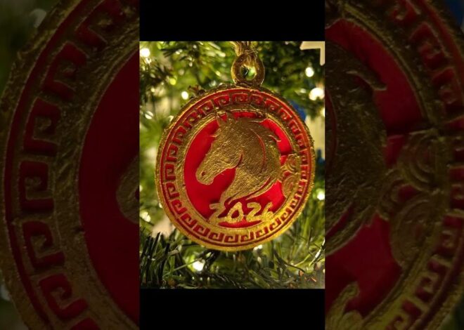 🏮Wishing everyone a happy and healthy Chinese New Year.