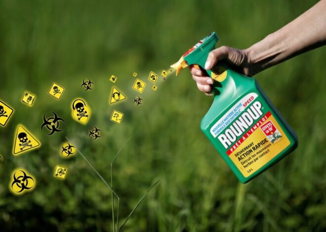 Stephanie Seneff PhD Interview – Glyphosate & The Engineered Sick Care System