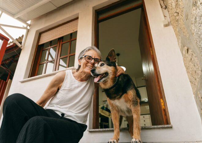 Get Covered bets on transparent pet friendly rentals  