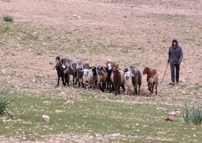 “Hope, ‘an act of resistance.’”