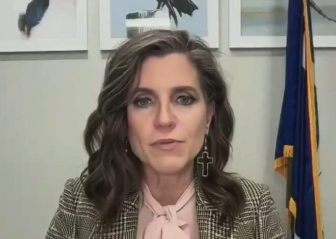 US Representative accuses intelligence agencies of Epstein cover up