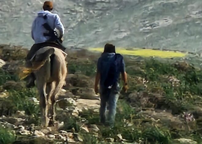 “‘He who sows injustice.’” – by Cara MariAnna