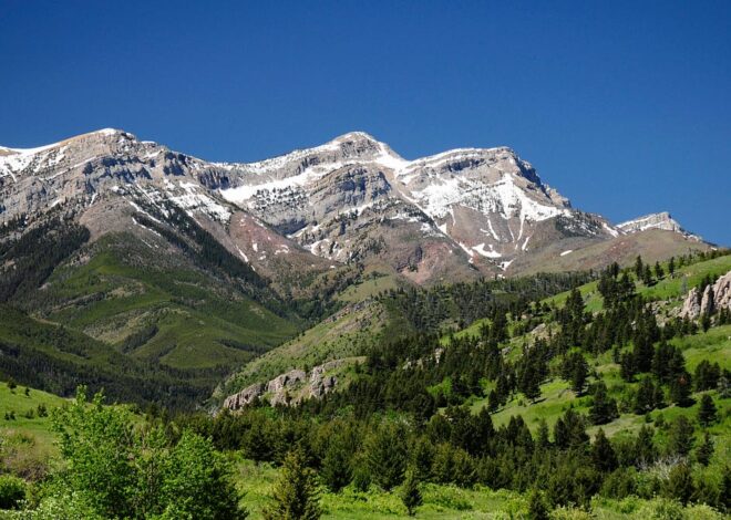 Board Sets Aside ALJ Consent Order