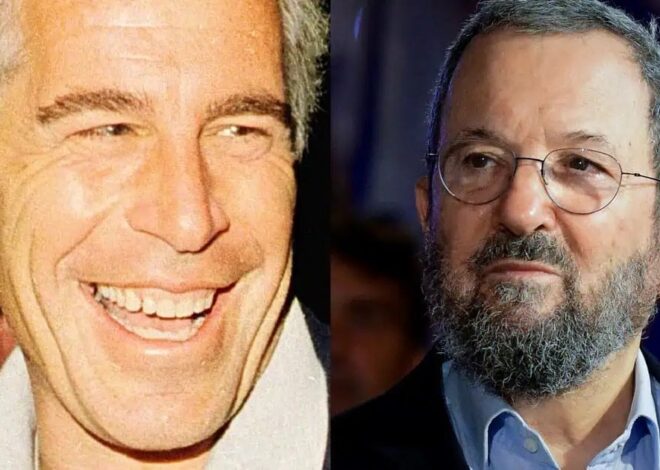 Epstein Thrived Because the Powerful Let Him