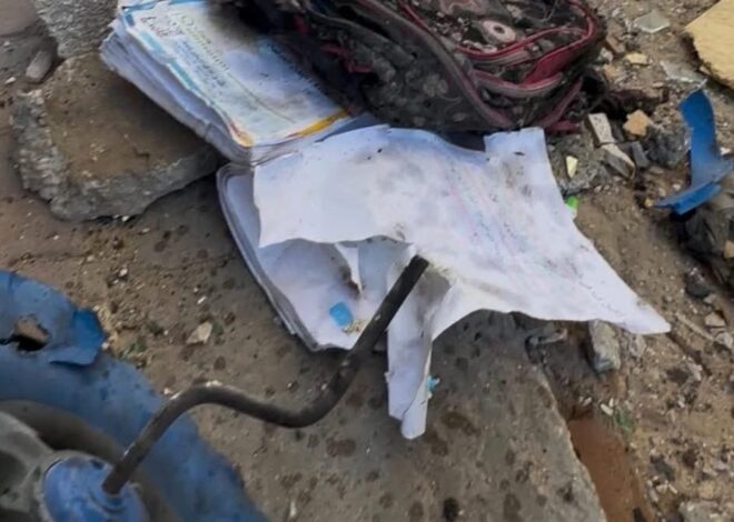 From Auschwitz to Gaza – by Robina Z Qureshi