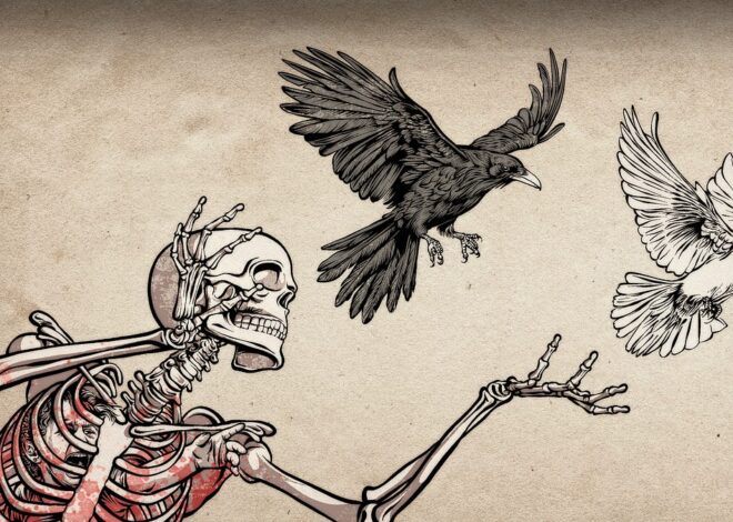 The Film They Don’t Want You to See