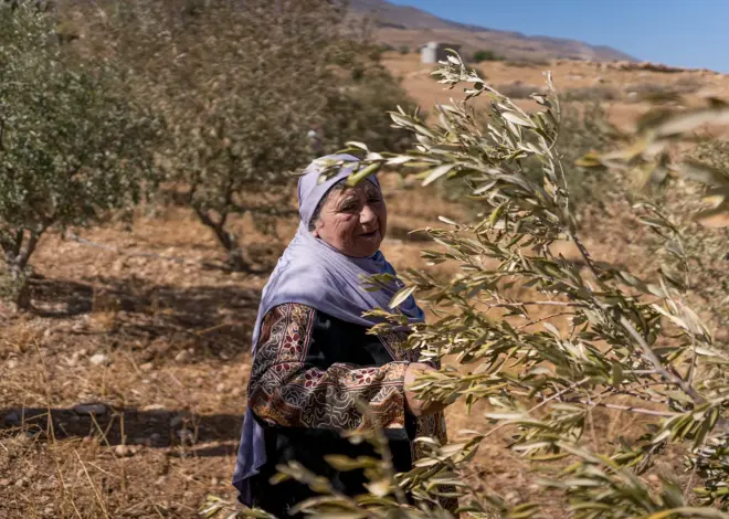 Land Day and the Palestinian struggle after 30 months of genocide