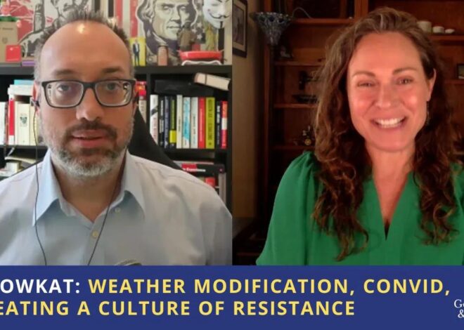 MellowKat: Weather Modification, Convid, & Creating a Culture of Resistance