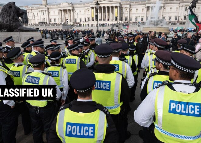 Met police failed to follow internal guidelines on policing Palestine protests