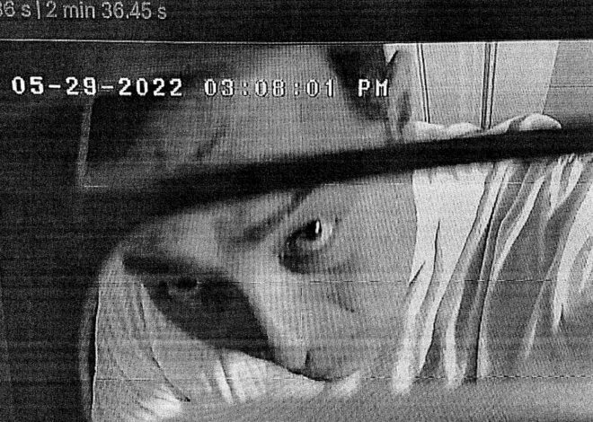 Judge to give Border Patrol agent sweet plea after toddler porn found.