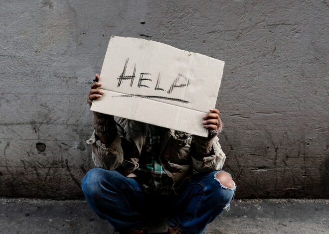 The Political & Class Issues