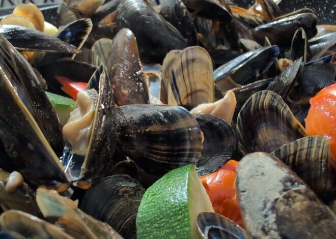 EU Fisheries – Conflicting Narratives and Conflict Resolution