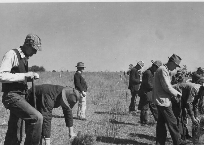 On Snow and Solidarity – by C. G. Beck