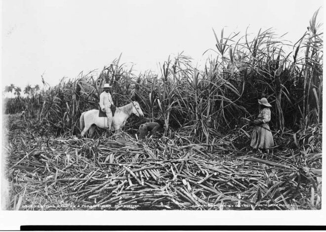 No, Cuba Was Not ‘Better’ Before Castro