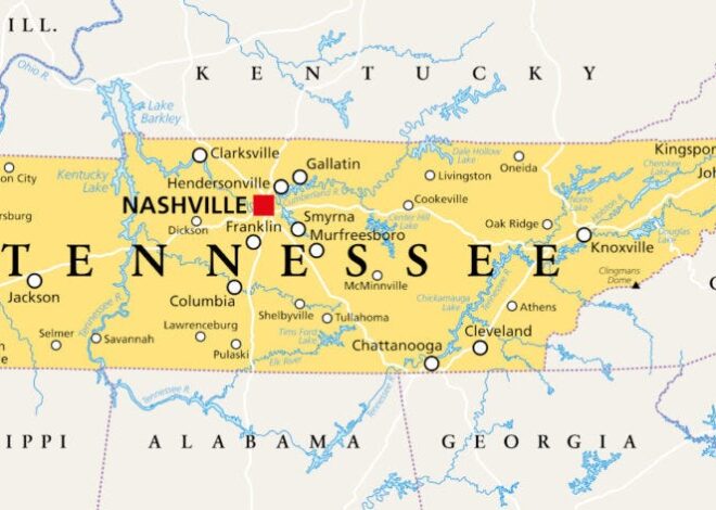 Testimony of Catherine Austin Fitts on Cash and Programmable Money Bills in Tennessee Legislature