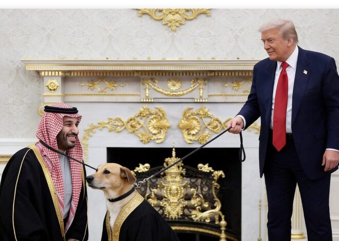 The Gulf States Thought Their Money Made Them Matter to White Empire. It Didn’t.