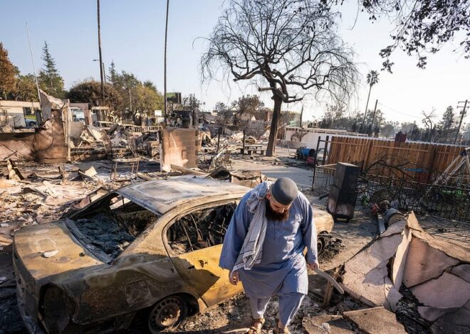 Public Safety Down, CEO Pay Up. Corporations Play “Rig the System”