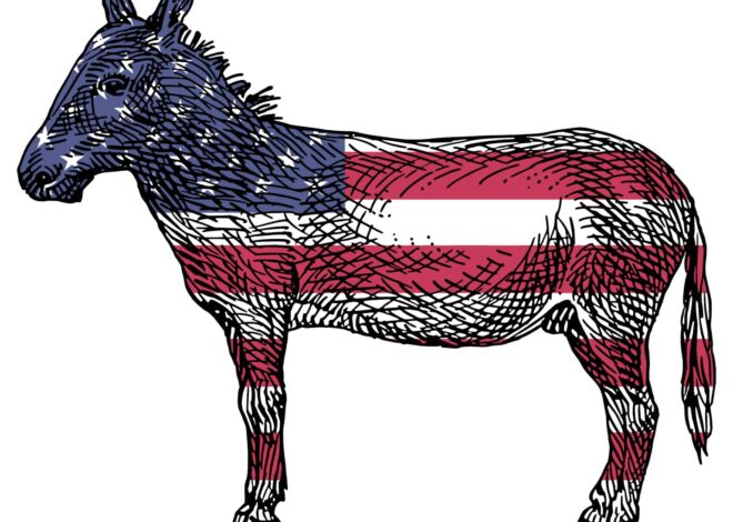 DNC’s Kneejerk Backing of Israel Is Political and Moral Failure