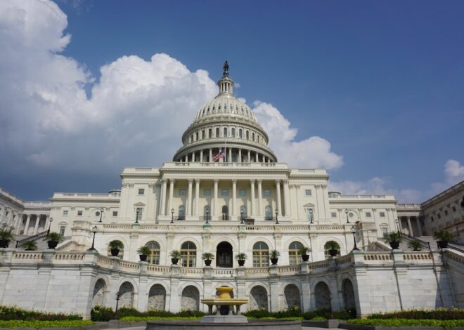 Oversight Hearings Are Great, But Where’s the Accountability?