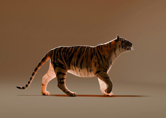 The “Tiger” Methodology for Decisive Action