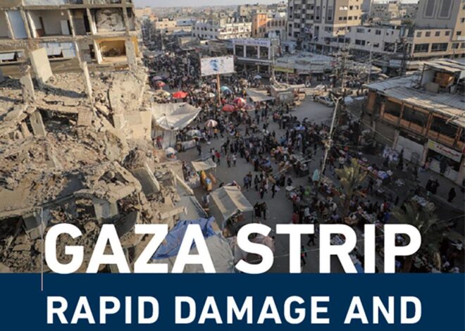 United Nations: Final Gaza Rapid Damage and Needs Assessment