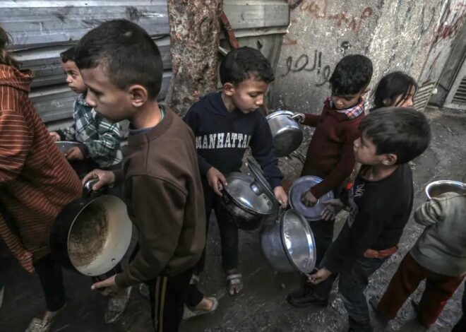 No diapers, no relief: Gaza’s infants face growing hygiene crisis