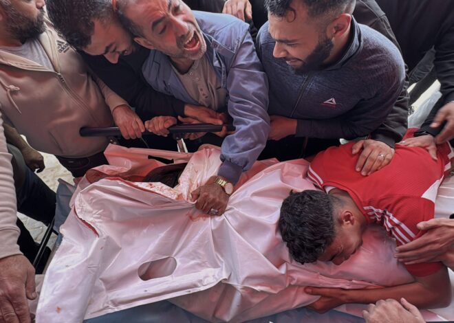 WHO Suspends Medical Evacuations from Gaza After One of Its Workers Killed by Israeli Fire