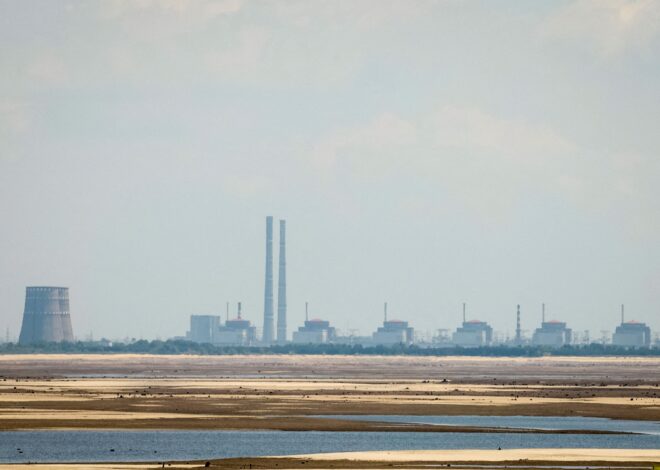 Worker Killed by Ukrainian Drone Attack on Zaporizhzhia Nuclear Power Plant