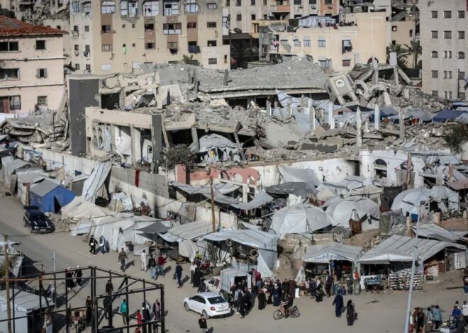 In Gaza, 17,000 infections linked to rodents – Daily Update