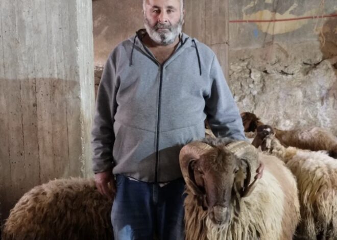 Sheep Theft, 12-year-old Boy Was Shot Dead in Palestinian Village