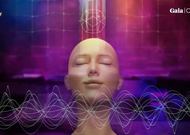 11-13-24 Electrical Alchemy pt II | Revolution Wednesday w- Teace Snyder!