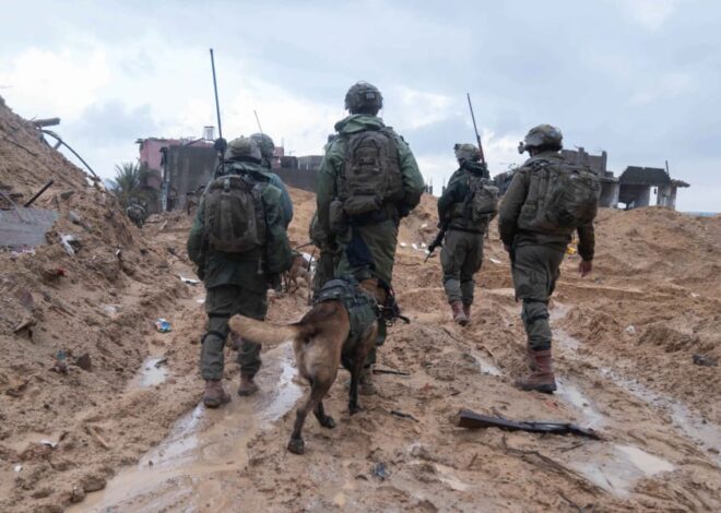 Israeli Soldier Says an IDF Commander Spat on the Bodies of Three Children He Killed in Gaza