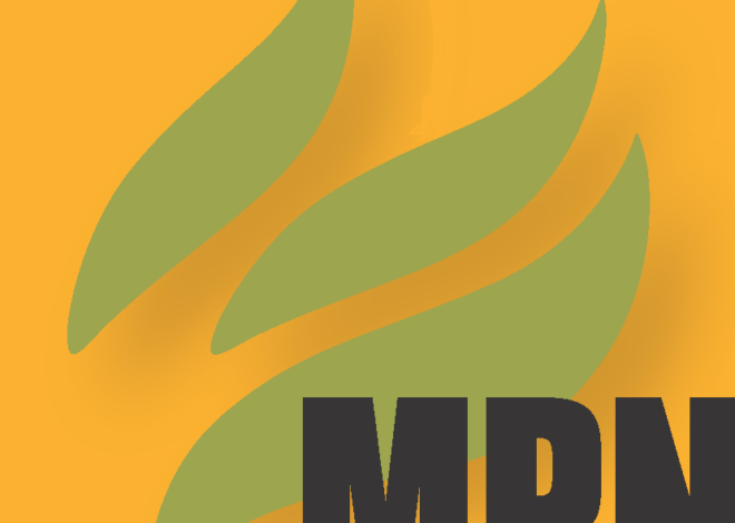 Not Neutral: Inside The UAE’s Shadow Role In the US-Israeli War on Iran