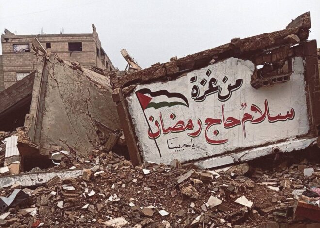 Dispatches From Catastrophe | Israel-Palestine News