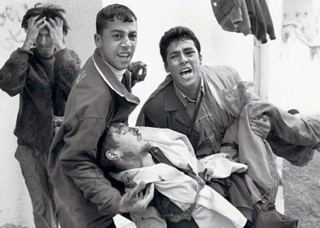 Remembering Tom Hurndall – by Robina Qureshi