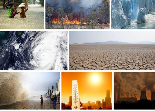 Earth Day at 56: Extinction Beckons